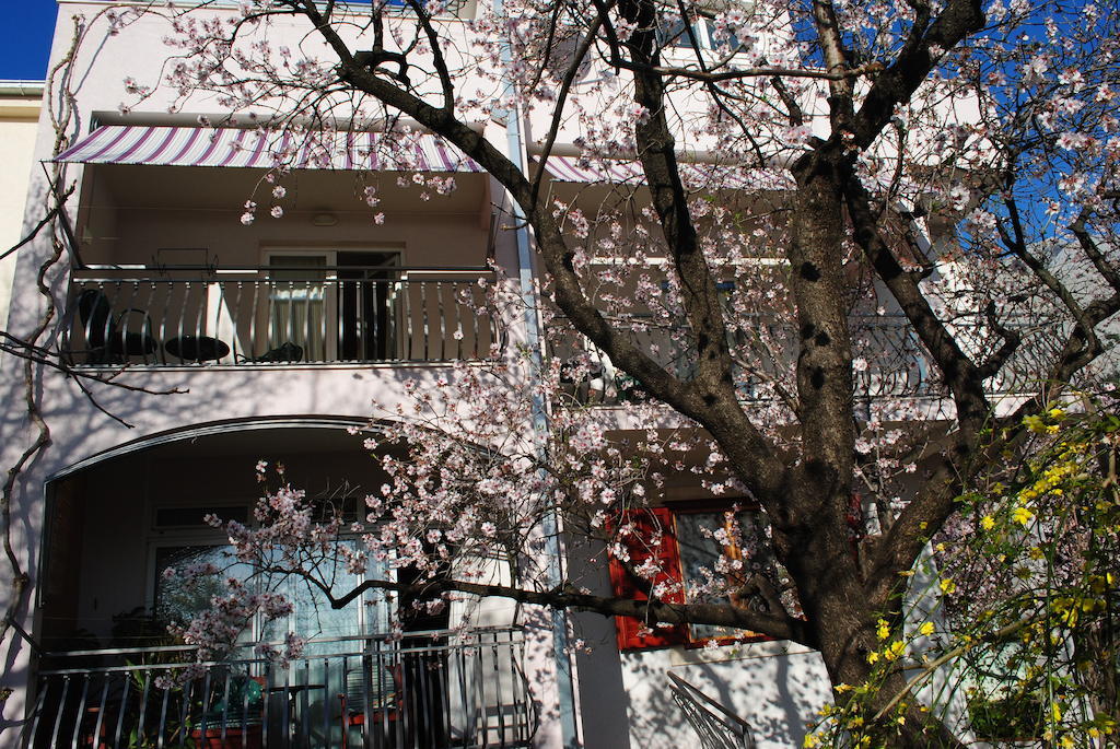 Apartments Natura マカルスカ エクステリア 写真