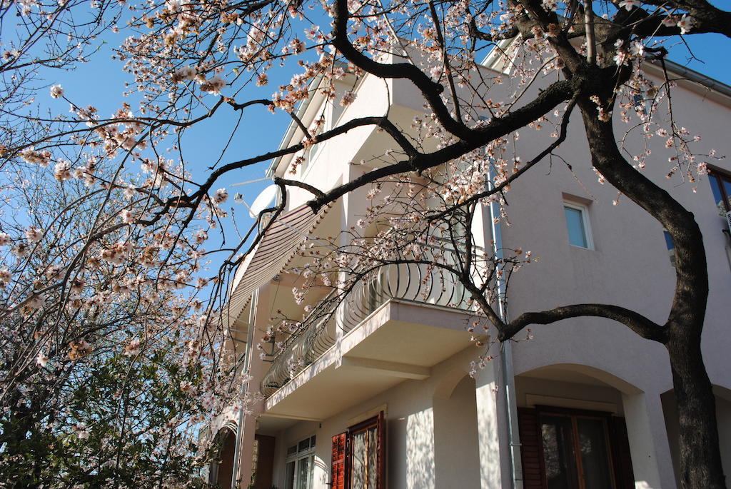Apartments Natura マカルスカ エクステリア 写真